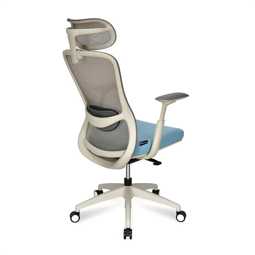 Pinnacle Ergonomic Office Chair High Back